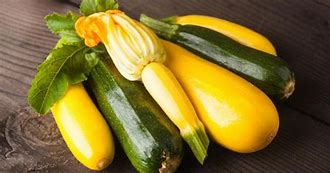 La courgette : la star de l’été